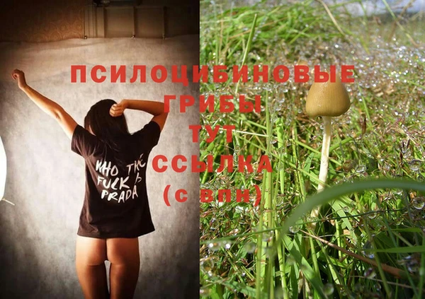 ешки Верхний Тагил