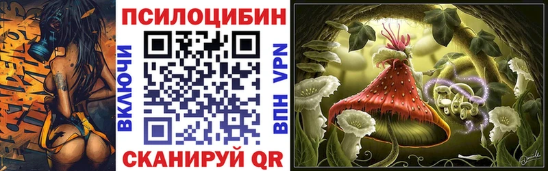 цена   Дмитриев  Псилоцибиновые грибы Magic Shrooms 